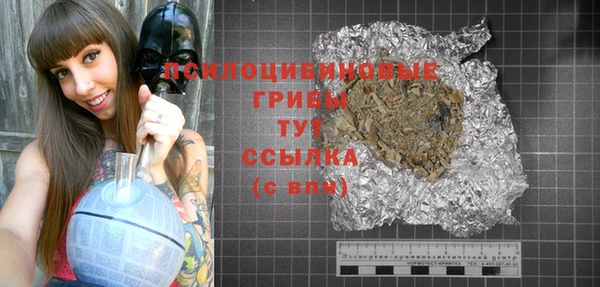2c-b Богородицк