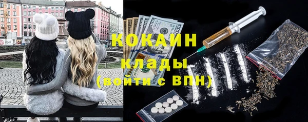 соль ск Богданович