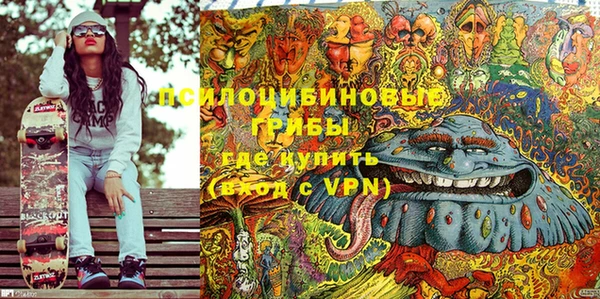 PSILOCYBIN Тавда