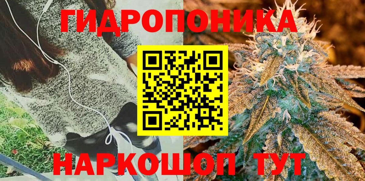 Каннабис сатива  МАРИХУАНА планчик  Канабис сатива  Волжск  Вход с VPN  Канабис SATIVA & INDICA 